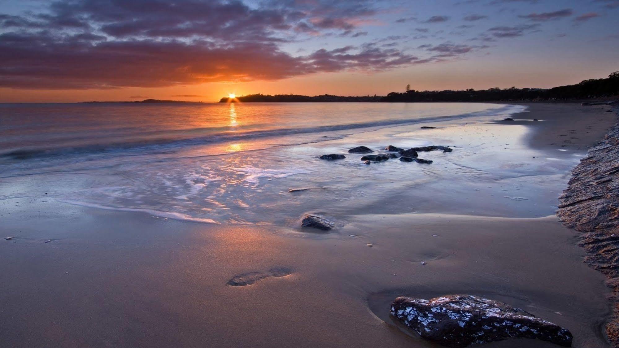 Kohimarama Beach Bed & Breakfast - Style And Privacy In Superb Location Auckland Eksteriør bilde